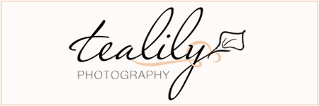 Tea Lily Photography