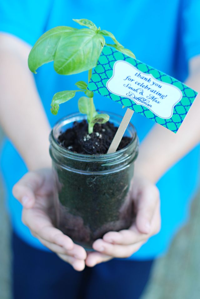 Herb Favors Kid Friendly Weddings Couture Parties Eco Kids Stephanie Frazier Grimm