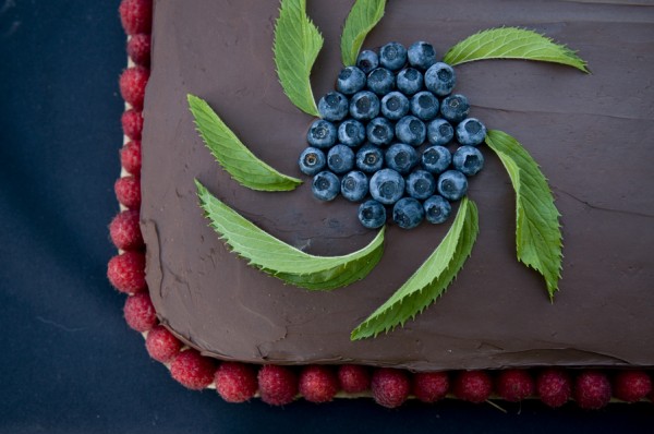 Finn River Farm Blueberry Cake