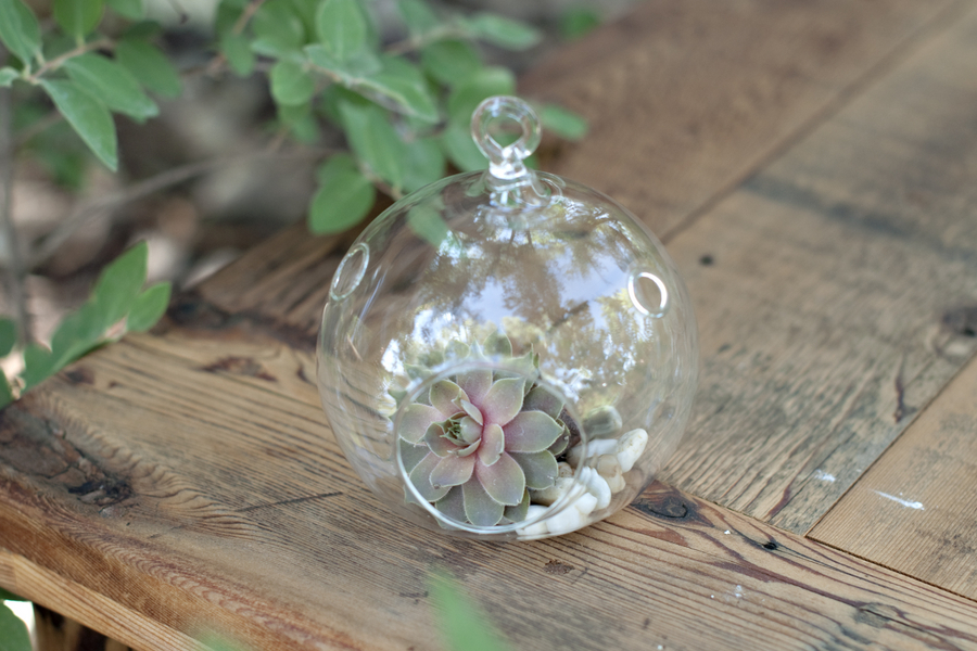 Courtney Lee Photography Colorado Mosiac Events Eco Beautiful Weddings Green Weddings Handmade Eco Friendly Weddings