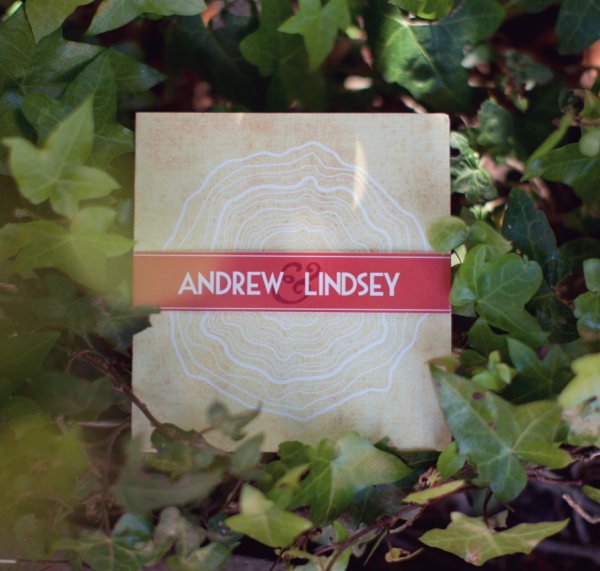 Lindsey and Andrew's wedding in Muir Woods