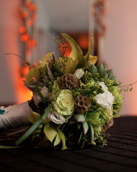 documentary-associates-photographers